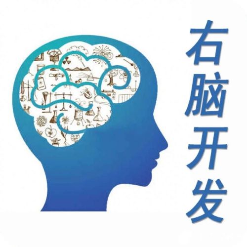 “开发右脑”真相大揭秘 别让“神童梦”蒙蔽双眼